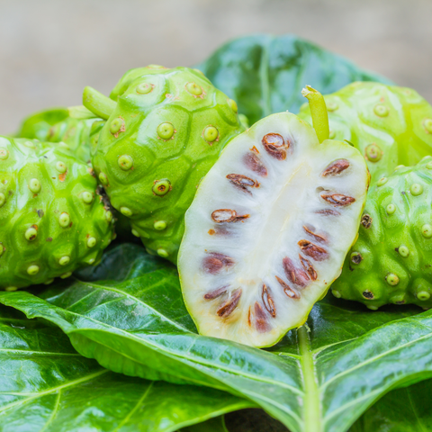 What Nutrients Are Found in Noni? A Science-Based Overview