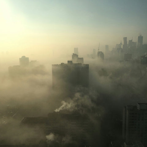 Environmental Toxins, Oxidative Stress, and the Role of SOD