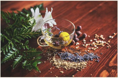 Adaptogens Explained: How Traditional Herbs Support Stress Adaptation