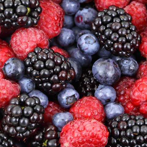 SOD vs Traditional Antioxidants: What Makes It Unique?