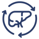 Blue icon of a stomach with arrows around it on a white background