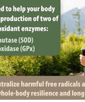 Person in outdoor setting with text about SOD support and antioxidant enzymes