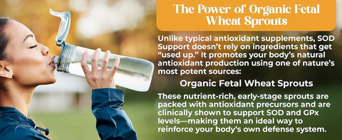 Person drinking from a bottle with text about organic fetal wheat sprouts and their benefits.