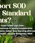 SOD Support supplement bottle with text about its benefits on a green natural background