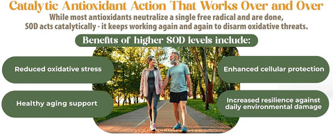 Two people walking on a path with text about SOD benefits and antioxidant action.