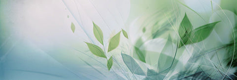 green-blue-background-leaf-banner