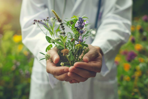 Person holding a small potted plant with various herbs against a blurred natural background