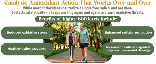 SOD Support - Image 5